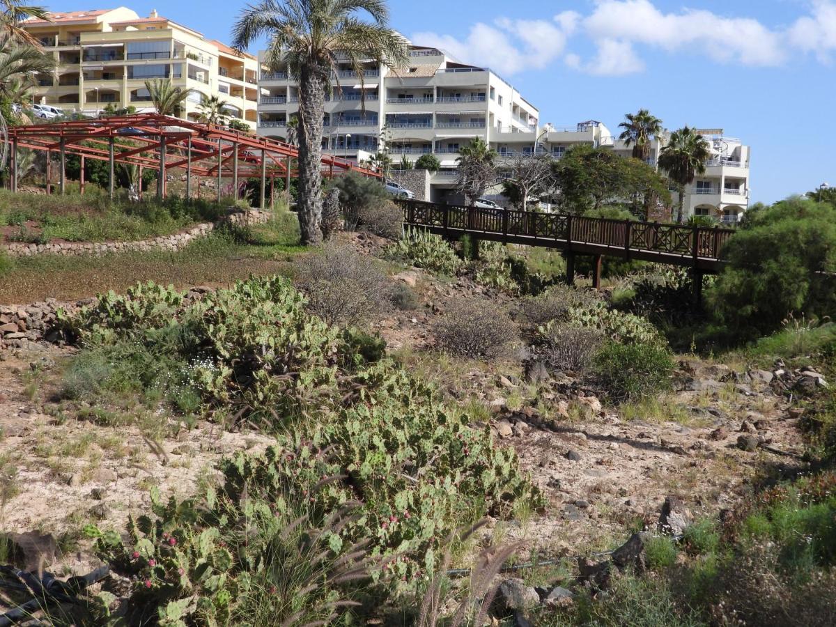 Luminoso Y Elegante, Piscinas Y Pistas De Padel Lejlighed Palm-mar Eksteriør billede